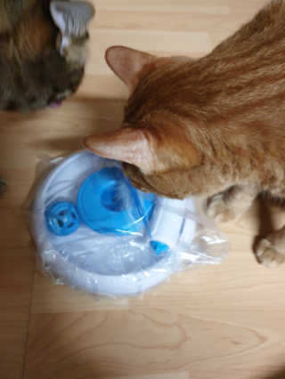 김진영님이 올린 리뷰 사진 1