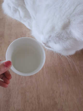 논지님이 올린 리뷰 사진 4