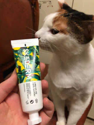 됴이님이 올린 리뷰 사진 2