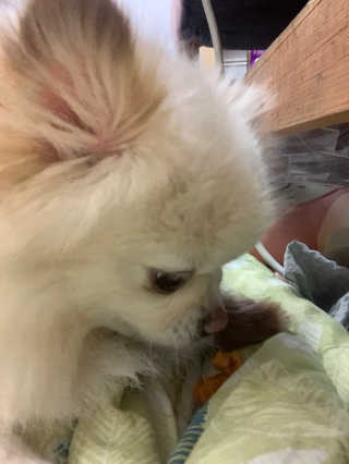 다옹쓰님이 올린 리뷰 사진 4