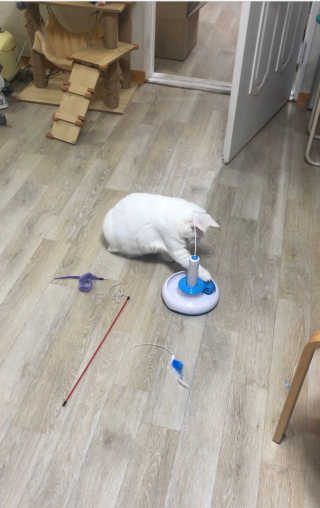 김노롸님이 올린 리뷰 사진 3