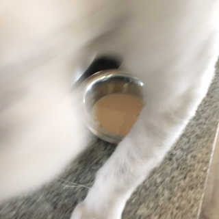 단발소녀님이 올린 리뷰 사진 2