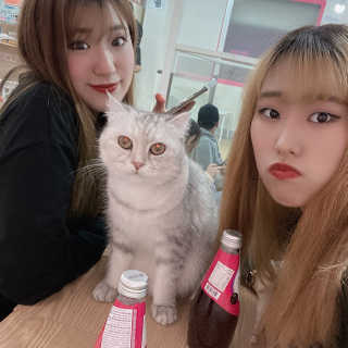 단비k님이 올린 리뷰 사진 2