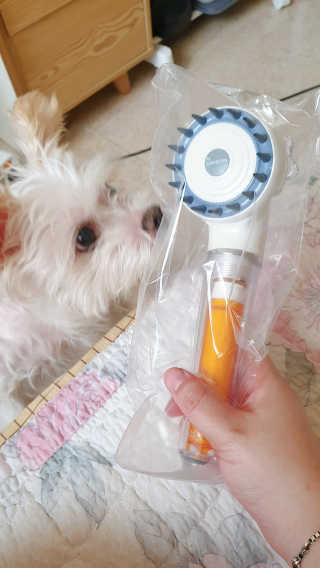 나콩님이 올린 리뷰 사진 3