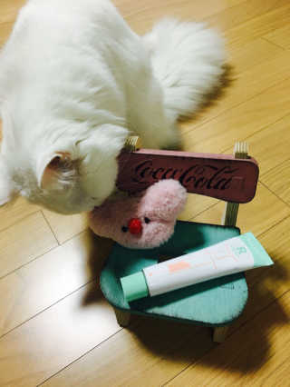 미요님이 올린 리뷰 사진 2