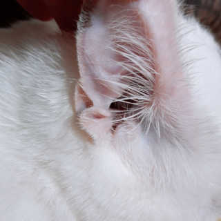 하늘하늘님이 올린 리뷰 사진 4