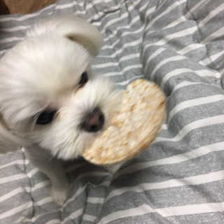 reeem님이 올린 리뷰 사진 3