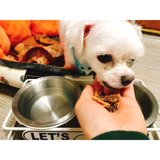 StellaJeong님이 올린 리뷰 사진 3