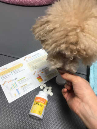 모모맘님이 올린 리뷰 사진 1
