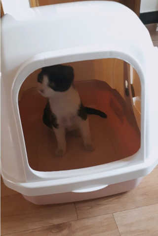 Nan.nani님이 올린 리뷰 사진 2