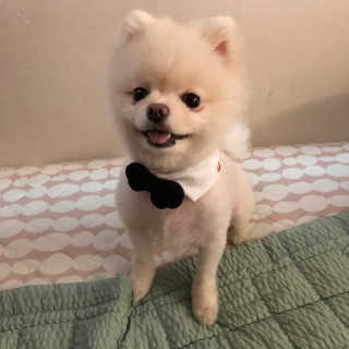 MinAKim님이 올린 리뷰 사진 1