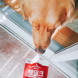 아보카도올리브님이 올린 리뷰 사진 1