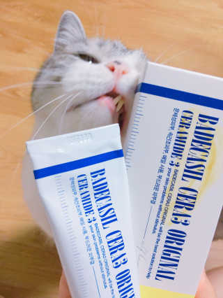 이슬님이 올린 리뷰 사진 4
