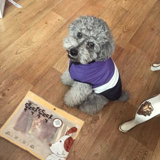 [펫토리아] 뚝딱뚝딱 400g 강아지 간식 베스트5종 — 5점을 준 리뷰어가 2019년 1월 올린 사용 사진