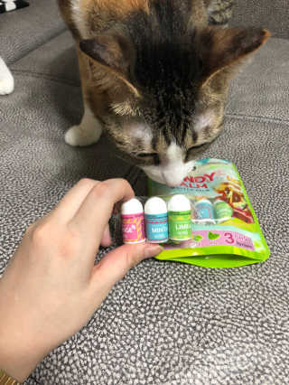 ChaeEunLee님이 올린 리뷰 사진 4