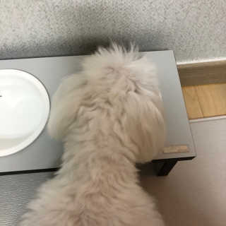 율리킴님이 올린 리뷰 사진 4
