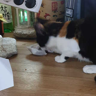 현뚜님이 올린 리뷰 사진 2