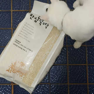 규빈띵쏘님이 올린 리뷰 사진 3
