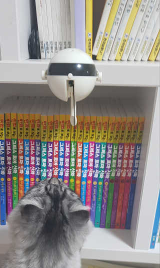 혀니쿵이짝이맘님이 올린 리뷰 사진 3