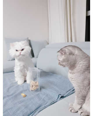 으하하하하님이 올린 리뷰 사진 2