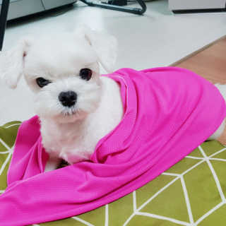 ddorry님이 올린 리뷰 사진 3