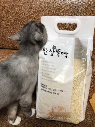 [펫토리아]한삽뚝딱 프리미엄 고양이 두부모래 — 5점을 준 리뷰어가 2019년 8월 올린 사용 사진