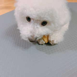 빙빙이님이 올린 리뷰 사진 4