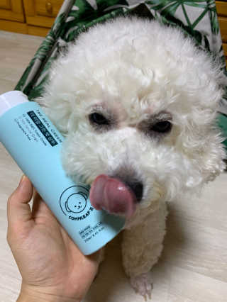써니님이 올린 리뷰 사진 1