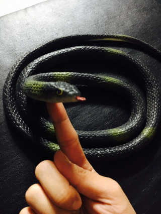 noname님이 올린 리뷰 사진 1