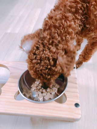 면경님이 올린 리뷰 사진 2
