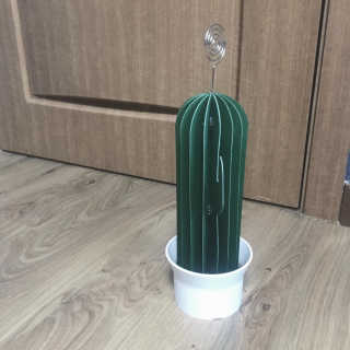 덤보님이 올린 리뷰 사진 1