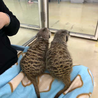 엄디님이 올린 리뷰 사진 1