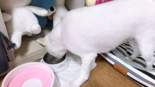 구름이엄마님이 올린 리뷰 사진 3