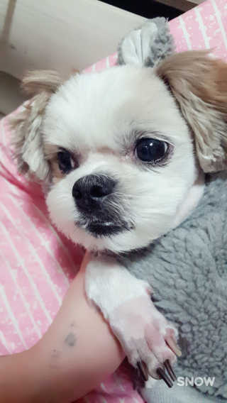 김공주님이 올린 리뷰 사진 3