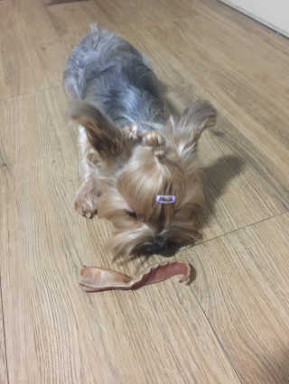 이미경님이 올린 리뷰 사진 3