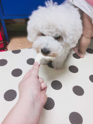 스아코마마님이 올린 리뷰 사진 2