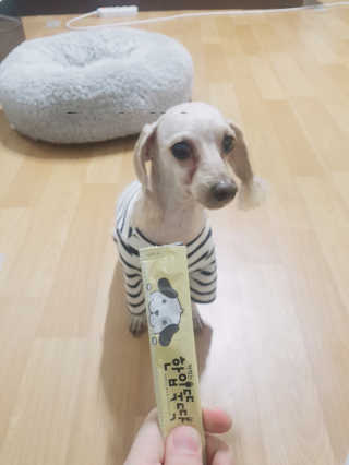 [펫토리아] 강아지,고양이겸용 짜먹는 한입뚝딱 — 4.83점을 준 리뷰어가 2019년 1월 올린 사용 사진
