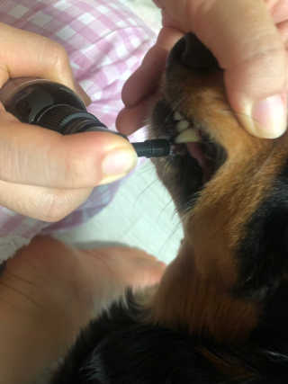 chakan님이 올린 리뷰 사진 4