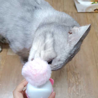에디터보나님이 올린 리뷰 사진 3