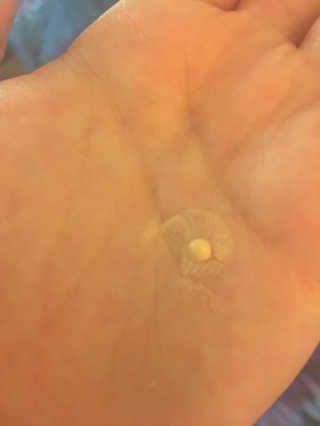 PlatinumAmbitions님이 올린 리뷰 사진 2