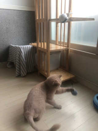 SolheeNamgoong님이 올린 리뷰 사진 2