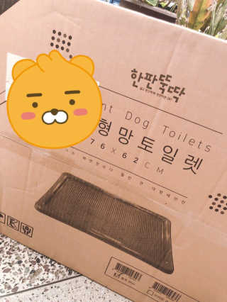 [펫토리아] 한판뚝딱 강아지 배변판 실속형,초대형 — 5점을 준 리뷰어가 2019년 5월 올린 사용 사진