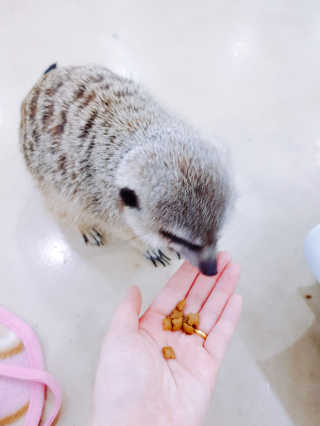 youngran님이 올린 리뷰 사진 2
