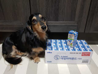 5_daks님이 올린 리뷰 사진 1
