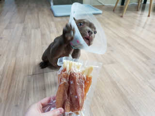 갓수진님이 올린 리뷰 사진 2