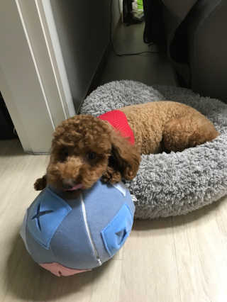 JungHyunKim님이 올린 리뷰 사진 1