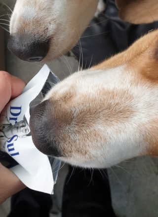 beaglelove님이 올린 리뷰 사진 2