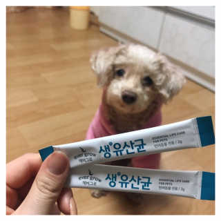 [빙그레] 에버그로 생유산균 1봉（10포입）+펫밀크2팩 — 4.5점을 준 리뷰어가 2019년 3월 올린 사용 사진