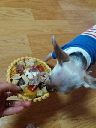 쪼꼬사랑이언니님이 올린 리뷰 사진 4