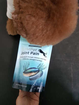 쪼꼬짱님이 올린 리뷰 사진 1